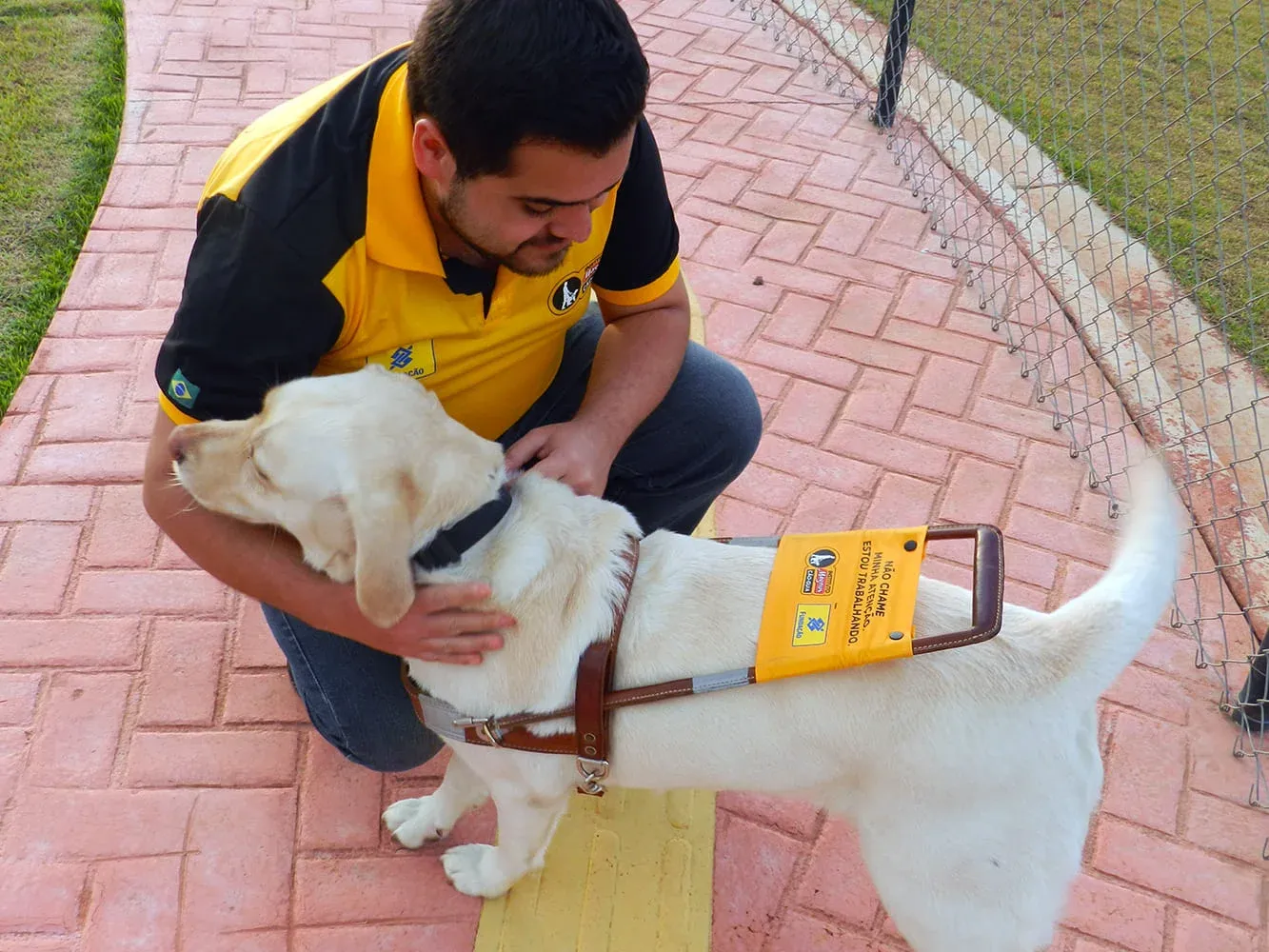Douglas indica programa de adestramento de cães-guia e de assistência para quem precisa